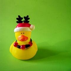 We are a Radio Show, coming to you soon! It's ducking good!