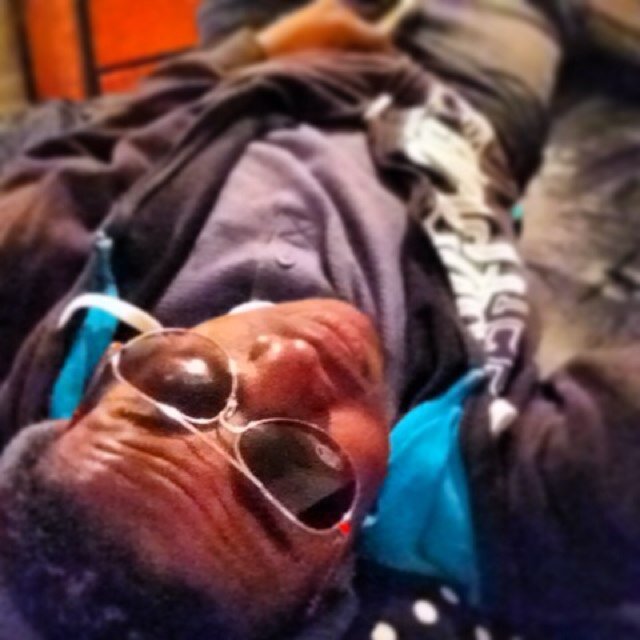 Makin money da legal way So 5.0 stay out my face or I promoise that gun gne spray✌✌