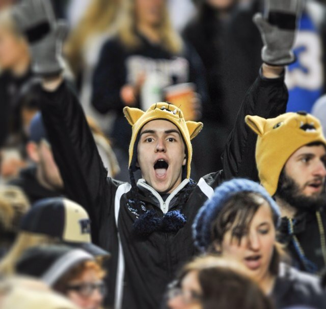 phil_andersonSV's profile picture. I like Pink Floyd