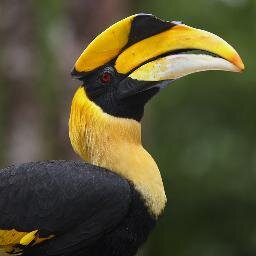 Rsorts Booking/River Rafting  Wildlife Safari / And Ather
Adventures Activities