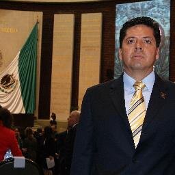 Diputado Federal por el Distrito XI, Pátzcuaro.