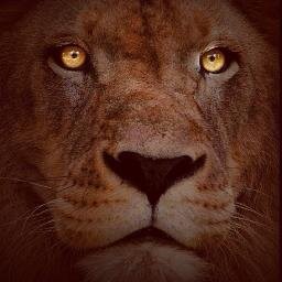**FUTURE KINGZ OF THIS GAME**