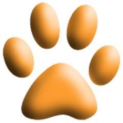General dogsbody to seven demanding cats.