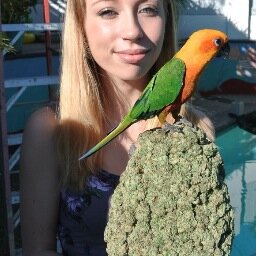 I lOVE Joints, Blunts & Bongs