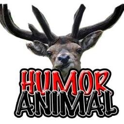 Pincha para visitar ver los mejores sketchs de humor de animales que hablan. https://t.co/GSYQPPFInm…  Comparte si te gusta. Gracias