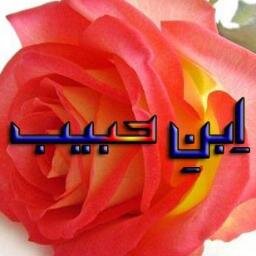 Being positive is first step towards success. (Ibn-e-Habeeb) 
| Columnist | Blogger | ہمکلامیاں  | Poet (In Making :p)