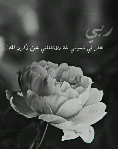 ربي أحفظ لي من أحببت وأرحم من ودعت