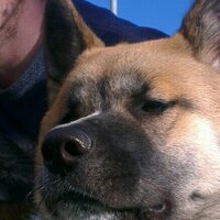 James Kitching (@polyputkettleon) 's Twitter Profile