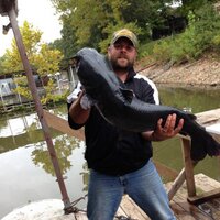 shawn schmidt (@schmidt929) 's Twitter Profile