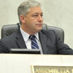Deputado Estadual Licenciado, Secretário de Estado do Esporte e do Turismo do Paraná, Administrador, Ex-consultor do Sebrae e Professor Universitário.