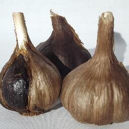 Ailnoir1's profile picture. 