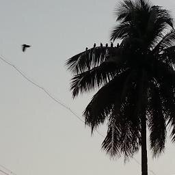 IT saleswoman, Bangalorean, care about environment, local issues, women's issues, politics, interested in travel, bollybuff