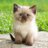 Twitter result for Buyagift from PolllyJnr