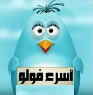 فولو مي فولو باك