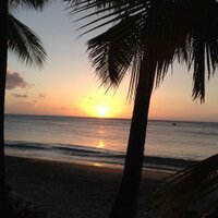 atcCodeur (@lfeeatc) 's Twitter Profile