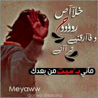 اكبر قهر لاضاع عمرك ورائ  انسان   ♡ انت تبي غلاه وهو يبي شخص ثاني ♡....♡♡ !!