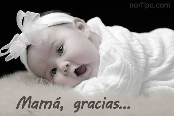 Un día me Preguntaron tu Llorarias por un Hombre yo les conteste Si por mi PAPA y mis Hermanos3 que ellos si están conmigo cuando mas los necesito3