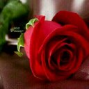 سعادتي في صلاتي (@000888333222) Twitter