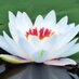 Tirath Kaur (@alltirath) Twitter profile photo