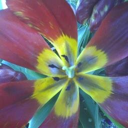 gaproctor09's profile picture. Makes things as simple as possible, but not simpler. - Albert Einstein