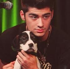 i love 1D, selena gomez my loves