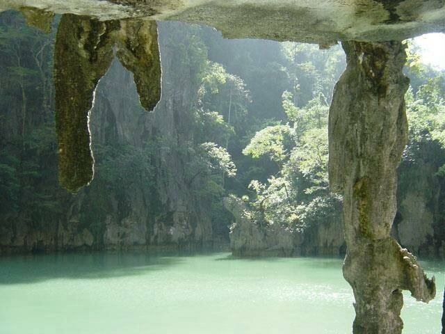 viankamelissa's profile picture. 