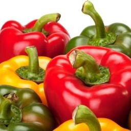 Soberanote's profile picture. Soy parte de la dieta esencial de las cobayas.