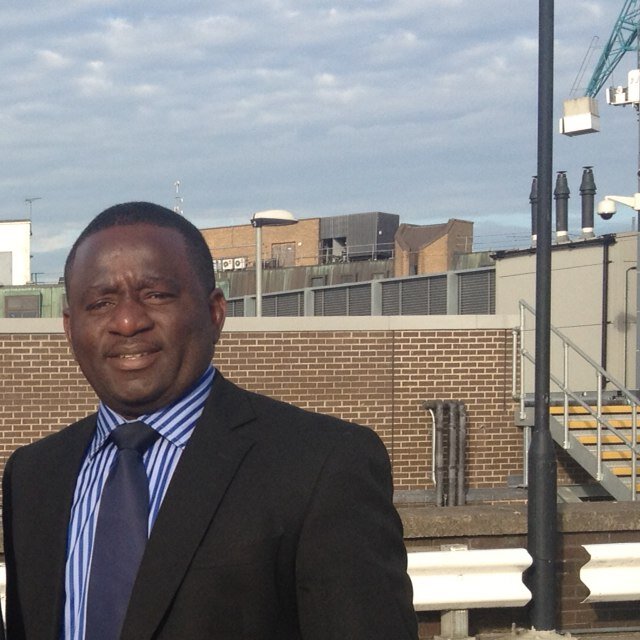 Project Management Professional,Senior Business Analyst,MBA,MSc