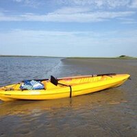 claudia daly (@dalydalyc) 's Twitter Profile