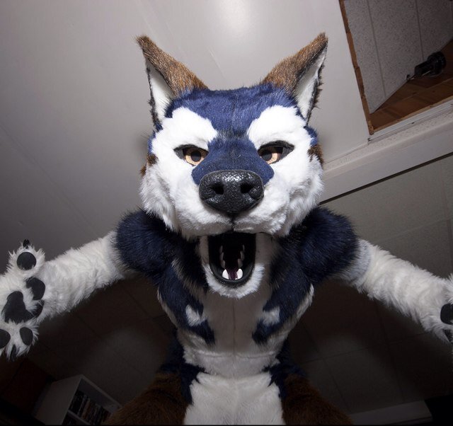 Hi im a very happy furry who loves botdf and this fallen empire and loves making friends