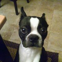 Don Mullins (@dmullins8) 's Twitter Profile
