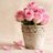 1_abeer5's profile image