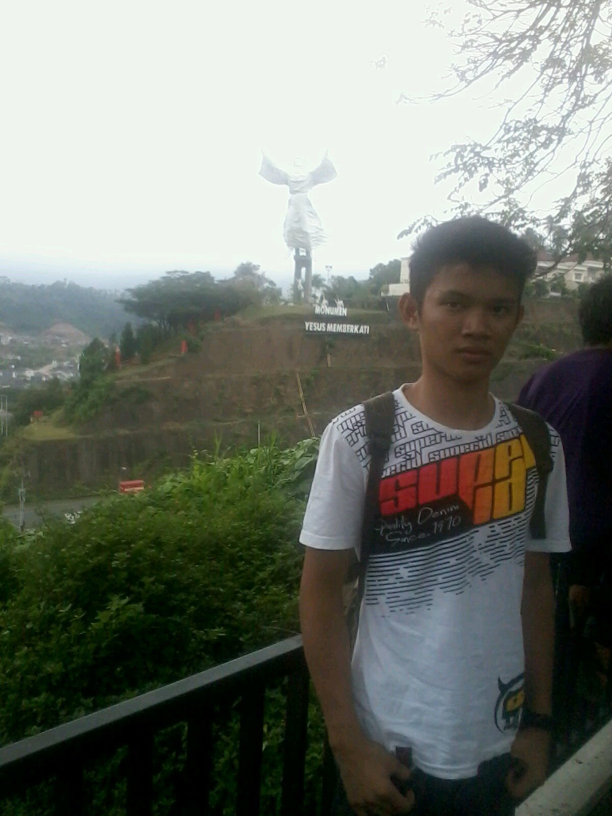 Cogan mamen (y)