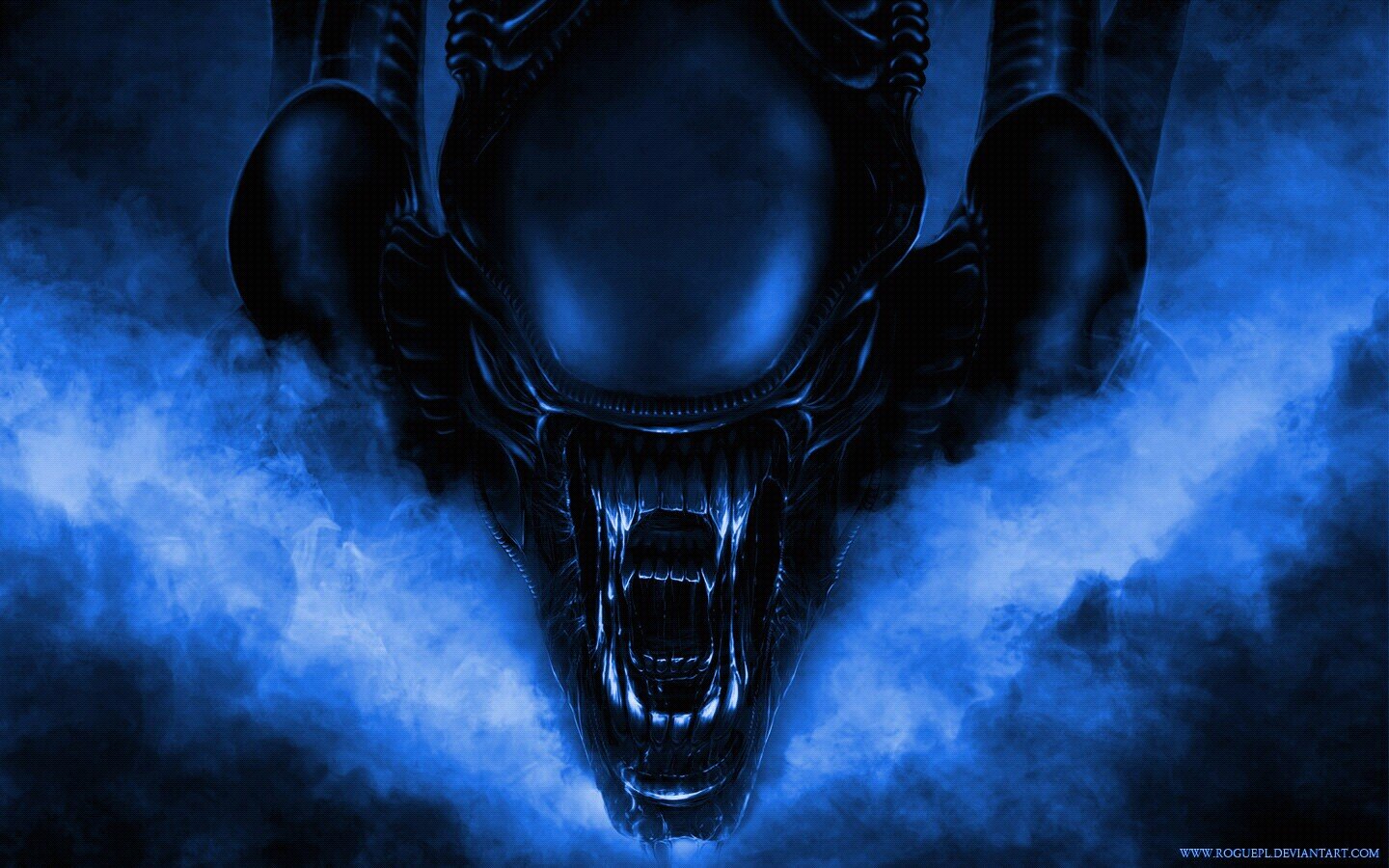 looperman21's profile picture. 