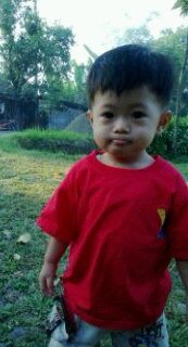 Gaspollll