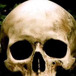 ncgfproductions's profile picture. Music Remixes, check us out