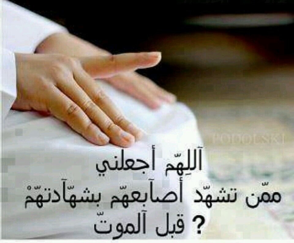 ‏‏‏‏ربيَ آختّم حياتيِ بـ عمْل صّالح ألقَاگ بہَ ♡    http://t.co/BJp27EK8ro‎‎‎