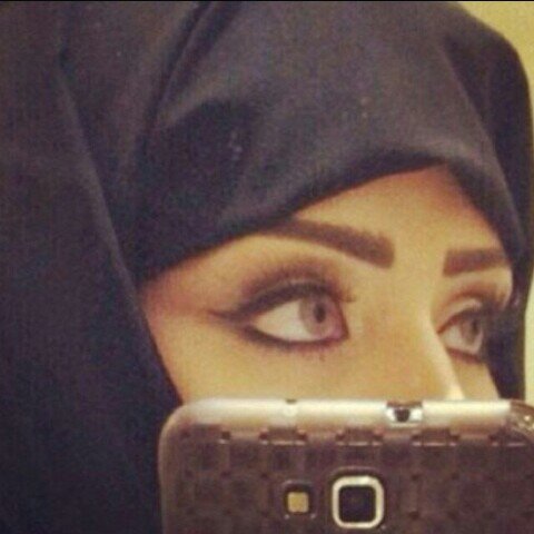 aldmam wadrs fy m9r yarb twfy8k