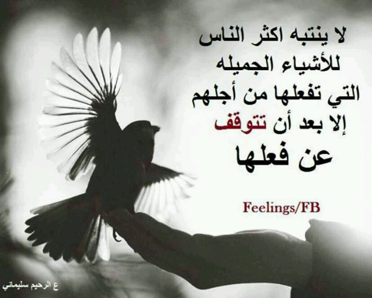 ‏‏الحساب للرتويت فقط ...ارسل التغريده على حسابي