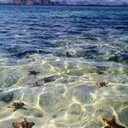 .اتق الله حيث ما كنت (@009988we4) Twitter