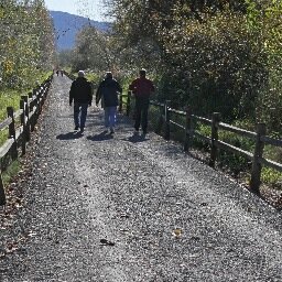 Stop King County b4 they spend our tax dollars incorrectly, we are ok with paving but not unnecessary movement or alteration to the trail and surrounding land.