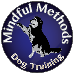 Conscientious dog training with the dog in mind. Positive reinforcement dog trainer.