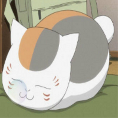 野良猫