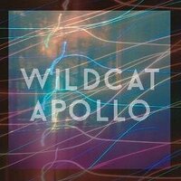 Wildcat Apollo (@wildcatapollo) 's Twitter Profile Photo