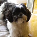 GEORGE jacques - @JacquesJgeorge - Twitter