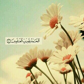 _ اللهم ليّ عائِلةة تُغنينٓي عنَ الكون بَ أكملِه فٓ أرجوك يآربي لآ تُرينِي فِيهم بأساً يُبكِيني *~