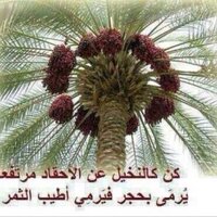 متابع بصمت (@mged2011) 's Twitter Profile