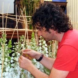 Diseñador Floral