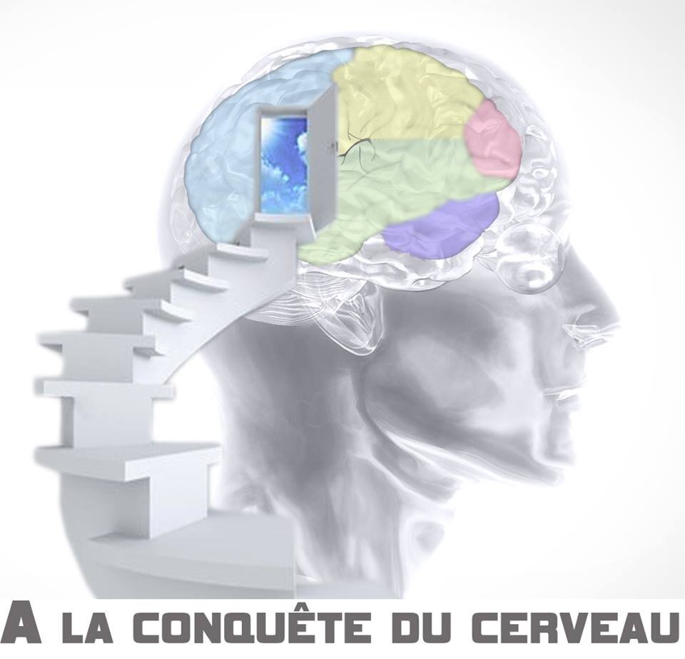 C'est la page officielle de notre blog A la Conquête du Cerveau! Le but est de partagez les idées et les news de neuromarketing! Entrez, lisez,  partagez!!