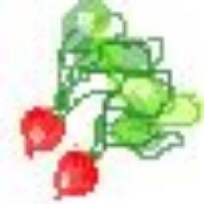 らでぃっしゅぼーや口コミ感想ブログ